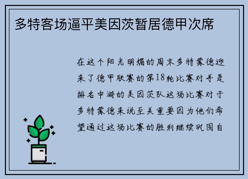 多特客场逼平美因茨暂居德甲次席