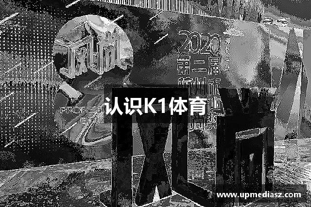 认识K1体育